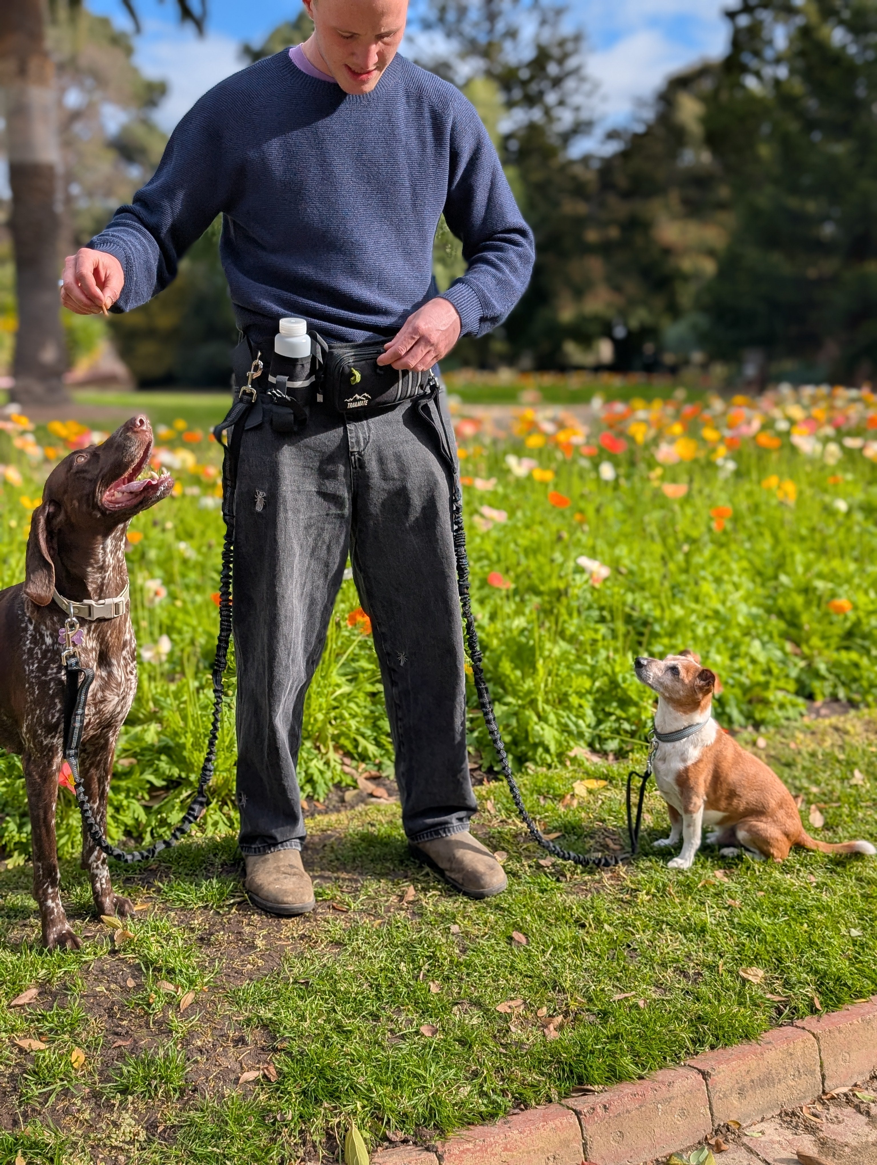 Hands-free leash belt