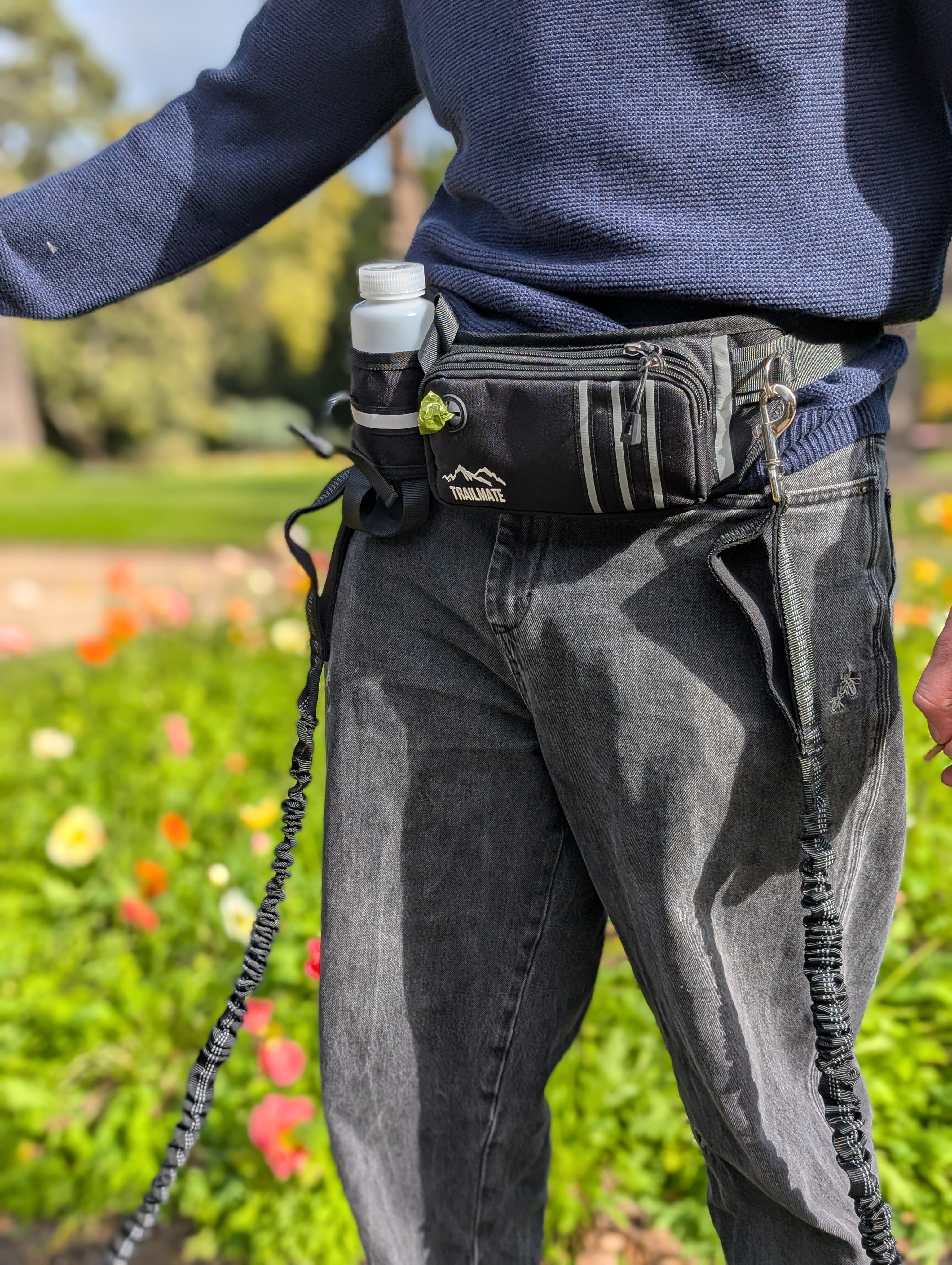 Hands-free leash belt